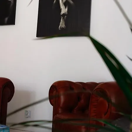 Inspirenest Iulius Mall *